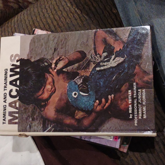 Taming and training Macaws birds by risa teitler - Picture 2 of 12